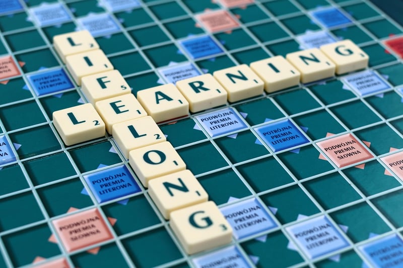Lifelong Learning Ideas